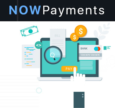 NOWPayments Payment Gateway